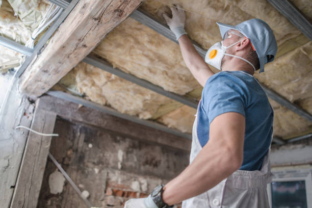 Best Geographic-Specific Insulation Services in Kenvil, NJ